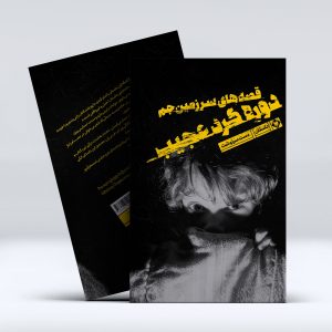 کتاب قصه های سرزمین جم دوره گرد عجیب